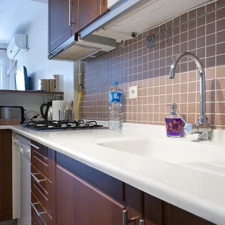 아파트 Spacious Balcony Sultanahmet - Aslan